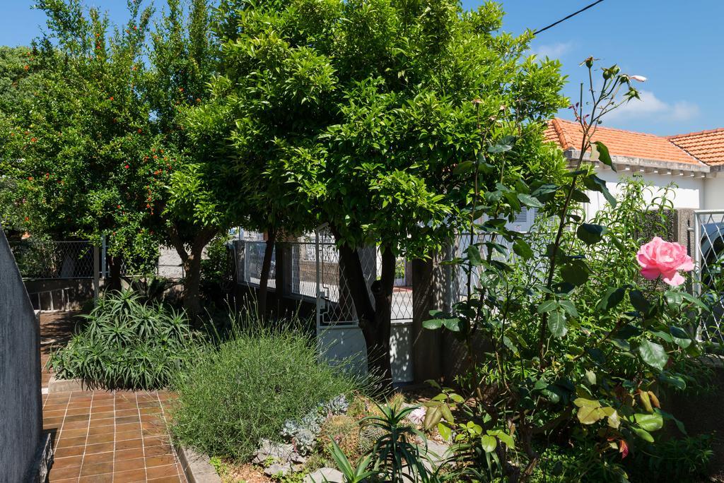 דוברובניק Apartment Veve מראה חיצוני תמונה